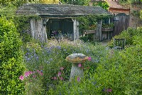 View across a mixed border to a wooden potting shed in an informal country cottage garden in Summer - June