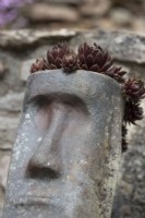 Easter Island style scultural heads are planted with sempervivums, for year round interest.  Spring