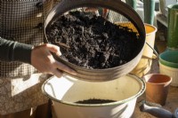 Sieving compost in the potting shed
