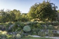 Terraces of planting below an orchard in Forest Lodge garden in July