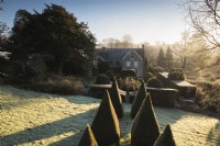 Avenue of yew pyramids at the Old Rectory, Netherbury, Dorset in winter