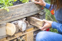 Woman placing logs in the gaps of the bug hotel
