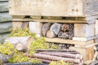 Logs, sticks, pinecones and moss in bug hotel