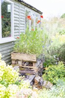 Bug hotel with wildflowers growing from the top