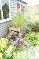 Bug hotel with wildflowers growing from the top