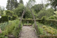A rustic homemade arch supporting sweet peas over a gravel path beside raised beds. Lewis Cottage, NGS Devon garden. Spring.