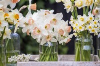 Bunch of Narcissus 'Pink Charm' in glass jar on tray 