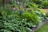 Shady green themed garden border with foliage plants beneath canopy of trees