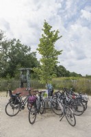 Haren Groningen The Netherlands
Idiosyncratic bike racks in a circle around a tree  which will grow to provide shade in the future. 