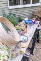 Garden sieve, succulents, wooden planks, rope, drill, saw, sandpaper, pencil, small pots, dipsacus - teasel, gloves, washers, nuts and bolts laid out on a wooden surface