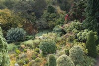 Garden of clipped evergreens in November, where a central Portuguese laurel, Prunus lusitanica, is surrounded by clipped box, hollies, yew and ornamental grasses.