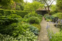 Stone paving surrounded by borders of Rodgersia,  Hostas and Yew hedge in the Chapel Garden at Parcevall Hall Gardens in June
