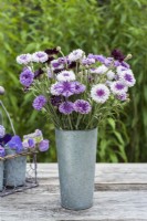 Pink and purple Centurea cyan's - Cornflowers arranged in metal vase