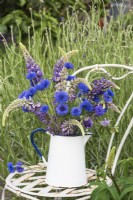 Centurea cyanus - Cornflowers arranged with blue lupins in white enamel jug on chair