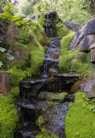 Rocks covered with Soleirolia soleirolii - Babys tears around a cascading waterfall in the  rock garden at Newby Hall Gardens