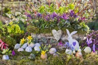 Easter display with eggs and birch bark container planted with Helleborus viridis, Corydalis solida, pussy willow catkins.