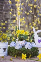 Easter display with daffodils, Cornelian cherry twigs and eggs on a moss nest.