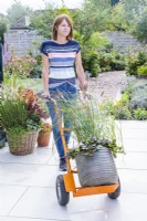 Woman using a sack barrow to move a planted container
