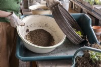 Sieving loam to create a crumbly soil for planting