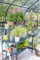Plants and pots arranged on greenhouse racking
