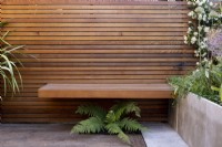 Floating seat against contemporary wooden fence with fern, Polystichum settiferum beneath 