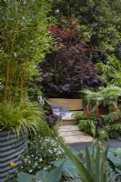 Kingston Maurward The Space Within Garden. Designer: Michelle Brown. Secluded wooden seating area amongst bamboos, acers, lupins, digitalis and ferns. RHS Chelsea Flower Show 2022. Silver-Gilt Medal. Summer. May.