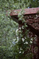 Morris  and  Co. Garden. Designer: Ruth Willmott. RHS Chelsea Flower Show 2022. Gold Medal. Detail of pavilion crafted from laser cut metal with 'Willow Boughs' William Morris design. With Salix Matsundana 'Tortuosa' - Dragon's claw willow and Rosa 'Rambling rector'.