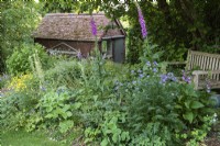An informal corner with a bench overlooking a border planted with Jacob's ladder, foxgloves and hardy geraniums.