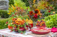 Autumnal table display with containers of Chrysanthemums, Rosehips, Squash, Ivy, Ferns, berries and crab-apples with a vase of Beech sprigs, helianthus and Chrysanthemums and a red tableware set