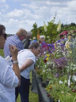 People browsing plant stall at Plant Fair at East Ruston Old Vicarage gardens