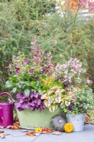 Large metal container planted with Helleborus 'Victoria', Coprosma 'Eclipse', Symphoricarpos 'Magical Candy', Jeuchera 'Wild Rose', Houttuynia 'Flame', and Dryopteris erythrosora next to metal bucket planted with Violas 'Sorbet Purple'