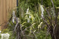 White delphiniums and cordylines in the Nurture Through Nature Garden at BBC Gardener's World Live 2022