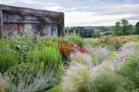Set against rusted sheets of corrugated iron, the cardoon bed at the Cottage Herbery includes Cynara cardunculus planted with Nassela tenuissima 'Pony Tails', Crocosmia 'Lucifer', Lychnis coronaria, Nepeta 'Six Hills Giant' and the foliage of Miscanthus sinensis.