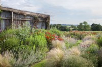 In the cardoon bed at The Cottage Herbery, the grassy path is bordered with Cynara cardunculus, Nassela tenuissima 'Pony Tails', Crocosmia 'Lucifer', Lychnis coronaria and Nepeta 'Six Hills Giant'.