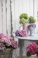 Hydrangea macrophylla displayed in pink vase and pottery head on grey table
