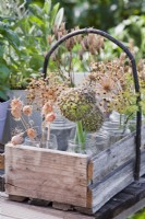 Dried flowers and seed heads collected in a trug.