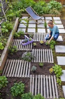 Woman creating drought tolerant flowerbed with succulents and herbs.