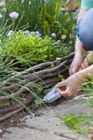 Weeding a path between beds with a trowel.