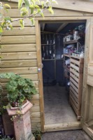 A potting and store shed with a door open, showing organised tools, paraphernalia and an apple store just inside. A geranium grows in a mock chimney pot planter beside the door. Autumn.