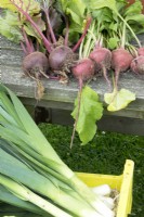 Beetroot on a wooden surface and Leek in crate.