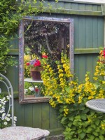 Reflections of garden in framed mirror hanging on garden fence