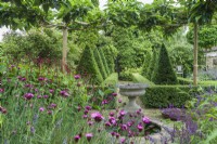 View of contemporary country garden with table top Morus alba - white mulberry, and box and yew topiary. Dianthus carthusianorum, Persicaria amplexicaulis. July