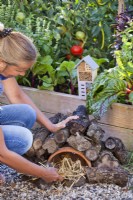 Woman making hedgehog house using broken terracotta pot and logs in kitchen garden. Filling shelter with some straw or leaves.