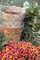 Red berries garland, terracotta pots, acorns and olive leaves garland, to make Christmas decorations.