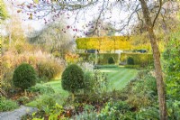 View of garden in autumn framed by Crataegus persimilis 'Prunifolia' - cockspur thorn, with box topiary and hebaceous beds and borders. November.