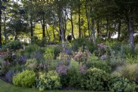 Deep perennial summer borders, with shading trees behind in a cornish country style garden