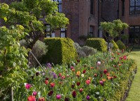 A border of multi-coloured Tulipa at Chenies Manor.