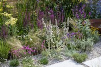 Gravel garden with Stachys byzantina, Salvia, Stipa tenuissima, Achillea and Armeria maritima -  Turfed Out Garden - RHS Hampton Court Palace Garden Festival 2022