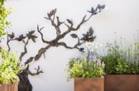 Wall sculpture by Emma Rodgers, Corten steel planters with herbaceous planting  - John King Brain Tumour Foundation Garden, RHS Hampton Court Palace Garden Festival 2022