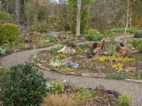 The winding paths of the Picton garden are edged with wood logs gives a woodland natural look.